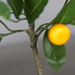 Kunstpflanze Mandarinenbaum 55 cm