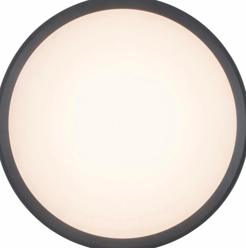 LED-Außenwandleuchte Rola