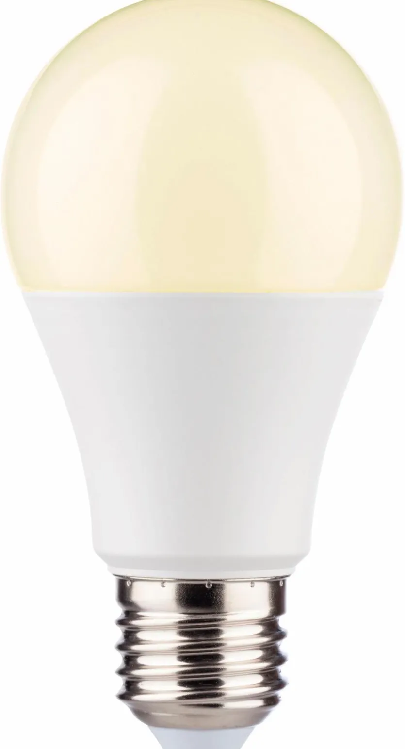 LED-Birne E27/7 Watt/Energie G