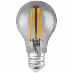 LED-Birnenform E27/6 Watt/Energie F