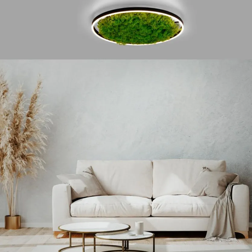 LED-Deckenleuchte Gerda Ritus