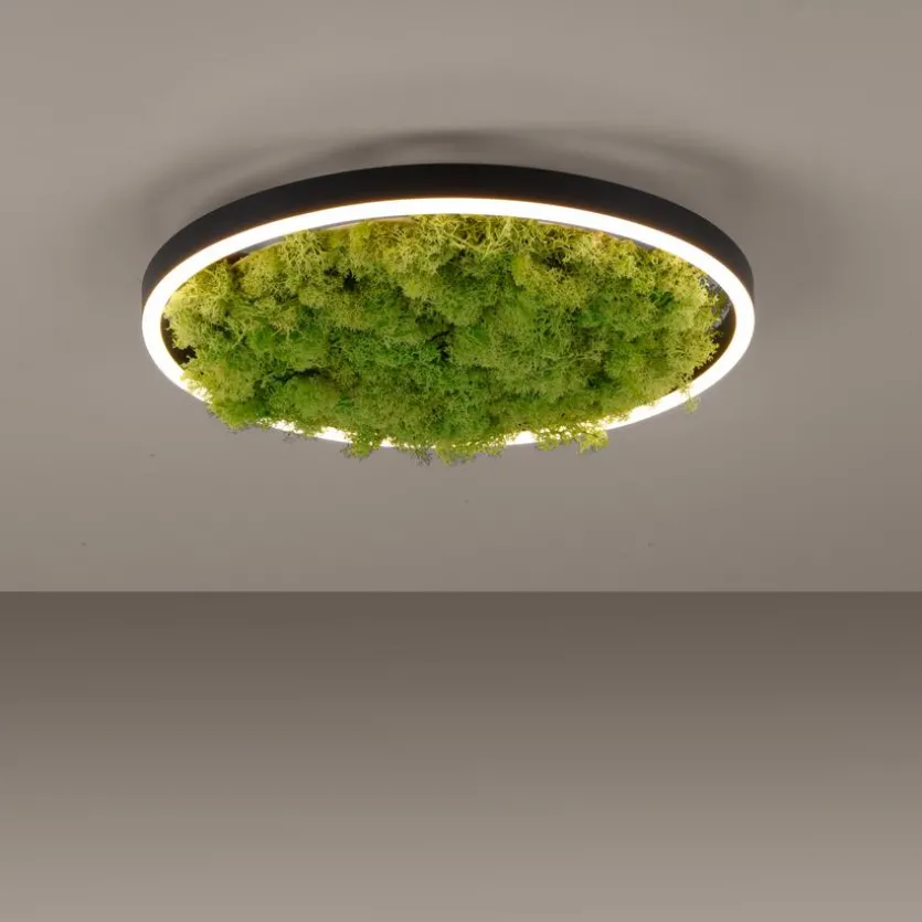 LED-Deckenleuchte Gerda Ritus