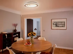 LED-Deckenleuchte Orbis Loop