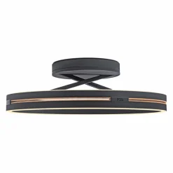 LED-Deckenleuchte Pure Loop