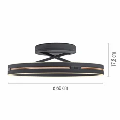 LED-Deckenleuchte Pure Loop