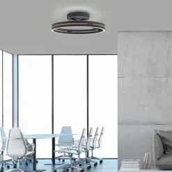 LED-Deckenleuchte Pure Loop