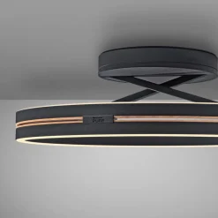 LED-Deckenleuchte Pure Loop