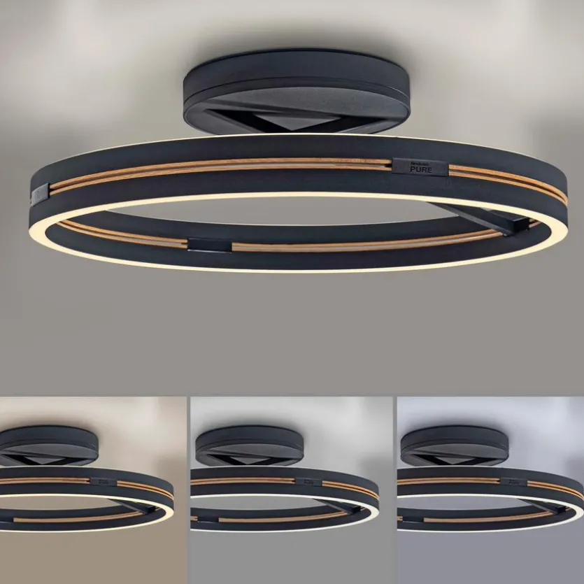 LED-Deckenleuchte Pure Loop