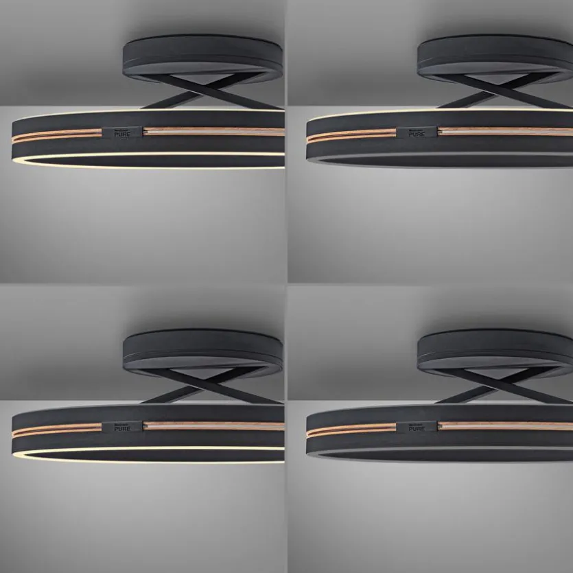 LED-Deckenleuchte Pure Loop