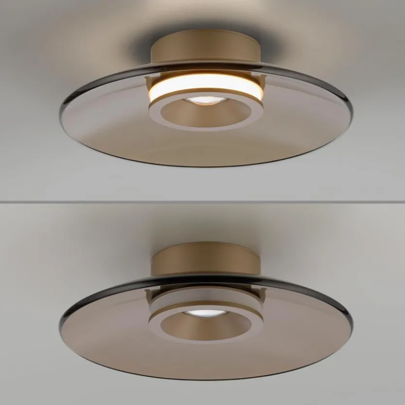 LED-Deckenleuchte Pure Moon
