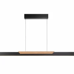 LED-Pendelleuchte Arcus