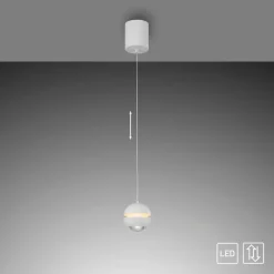 LED-Pendelleuchte Lini