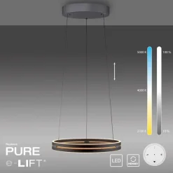 LED-Pendelleuchte Pure E-Loop