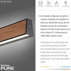 LED-Pendelleuchte Pure-E-Motion