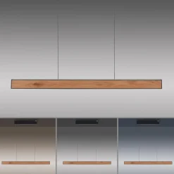 LED-Pendelleuchte Pure-E-Motion