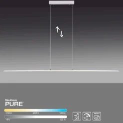 LED-Pendelleuchte Pure Lite