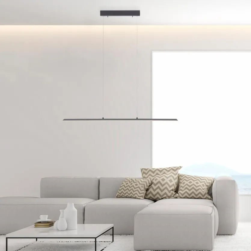 LED-Pendelleuchte Pure Lite