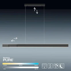 LED-Pendelleuchte Pure Lume