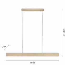LED-Pendelleuchte Pure-Motion