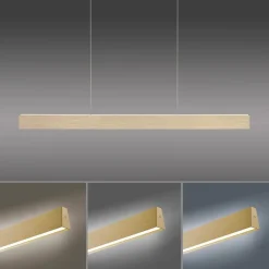 LED-Pendelleuchte Pure-Motion