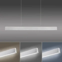LED-Pendelleuchte Pure-Motion