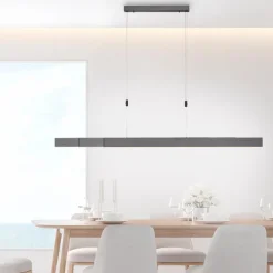 LED-Pendelleuchte Pure Moto