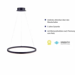 LED-Pendelleuchte Titus