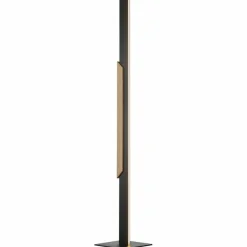 LED-Stehlampe Arcus