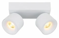 LED-Strahler Rae