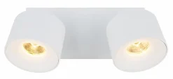LED-Strahler Rae