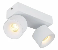 LED-Strahler Rae