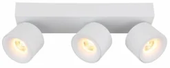 LED-Strahler Rae