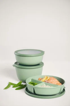 Lunchbox Bento Bowl Cirqula