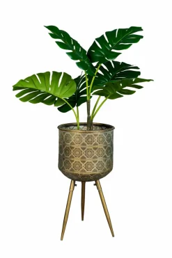 Pflanzkübel Botanique