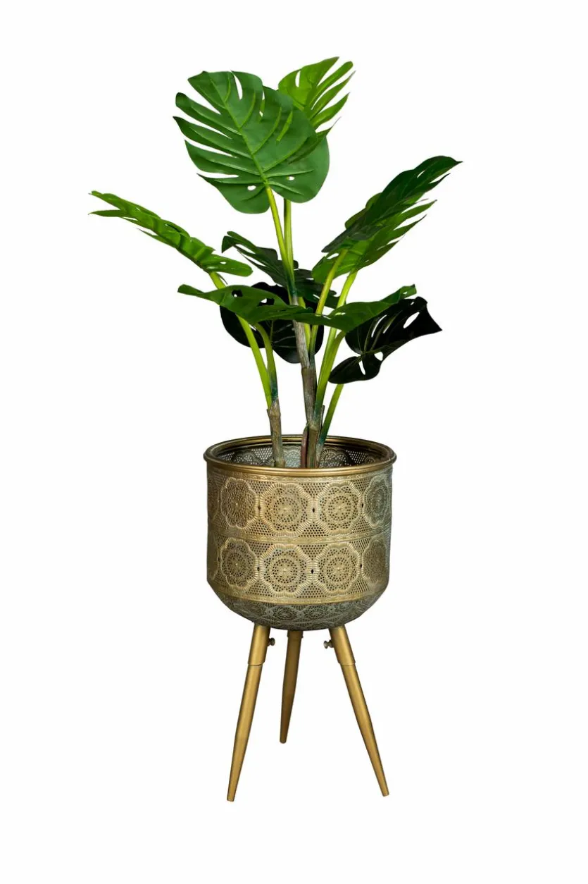 Pflanzkübel Botanique