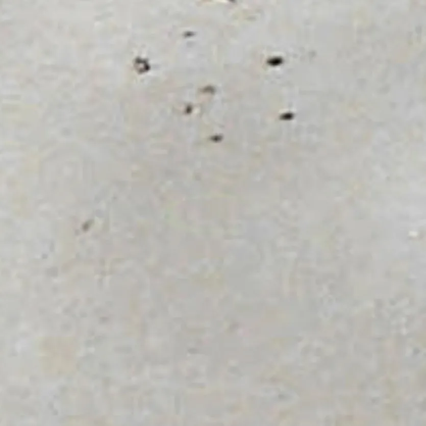 Platte Nature Collection 16,5x33 cm