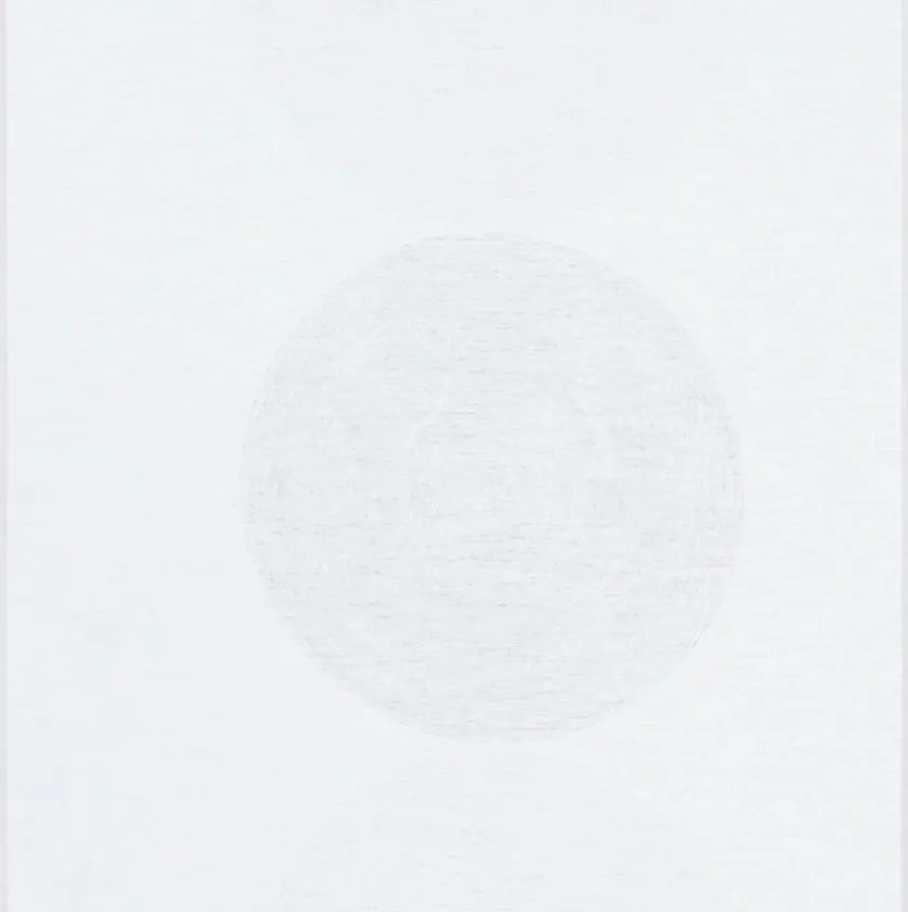 Schiebevorhang Sorrento 60 x 245 cm