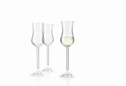 Schnapsglas Daily 100 ml