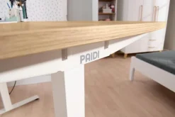 Schreibtisch e-lion 1