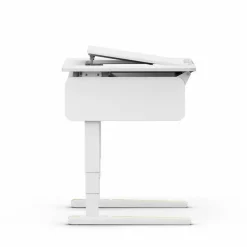 Schreibtisch e-Champion