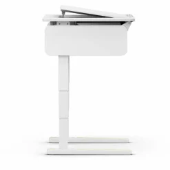 Schreibtisch e-Champion