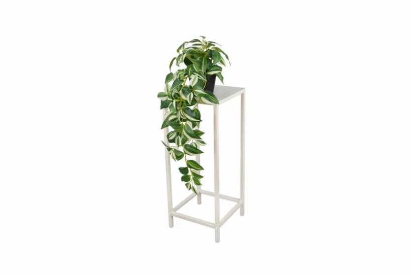 SEGMÜLLER | Möbelhaus & Onlineshop