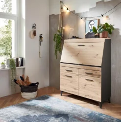 Sekretär Secret
