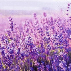 Serviette Field of Lavender 20tlg.