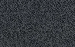 Sessel 586 Meg