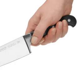 Steakmesser Spitzenklasse Plus 12 cm