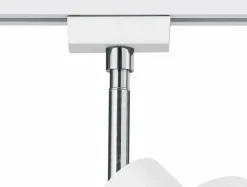 Strahler Leon