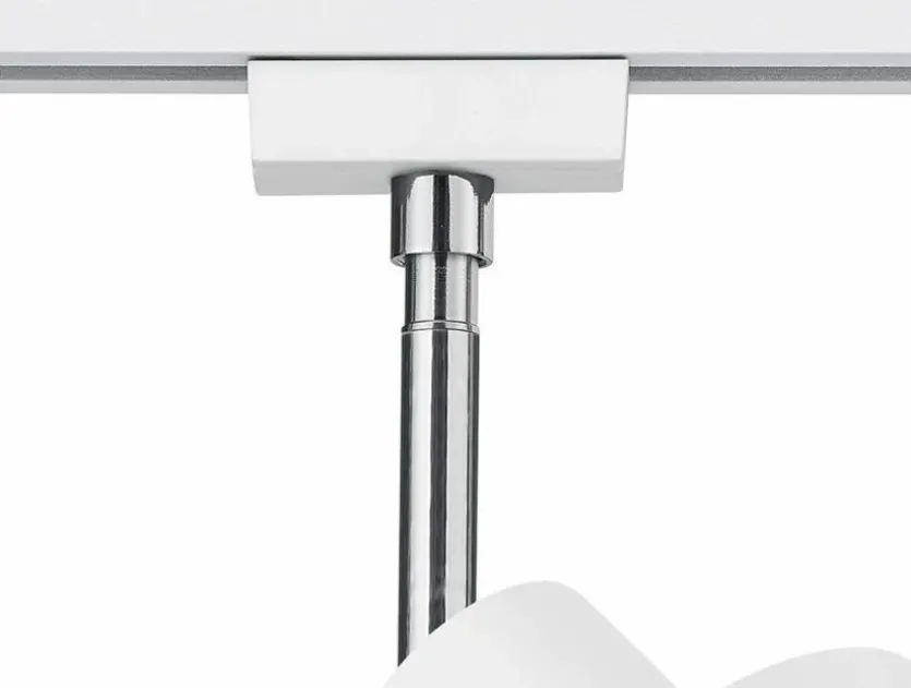 Strahler Leon