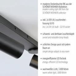 Strahler Rik