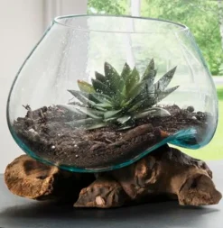 Vase Dekowurzel